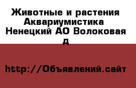 Животные и растения Аквариумистика. Ненецкий АО,Волоковая д.